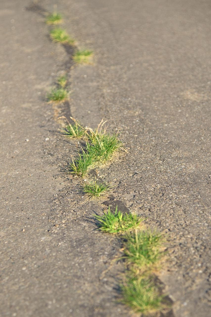 Pothole damage on a road